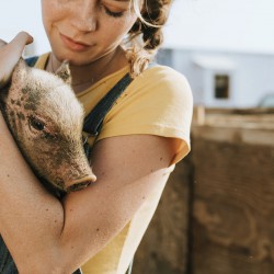 LA MIA TAZZA VEGANA/IL CIRCO PIÃ™ BELLO? QUELLO CON GLI OLOGRAMMI 