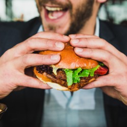 LA MIA TAZZA VEGANA/FENICOTTERI, LONTRE E LUPI: IL GRANDE RITORNO