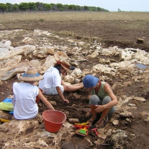 Archeologia: LA NECROPOLI DI PORTO SELVAGGIO 